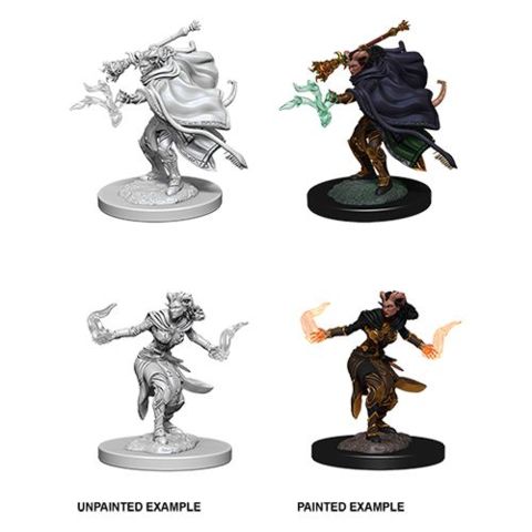 Nolzurs Marvelous Miniatures - Tiefling Warlock Female